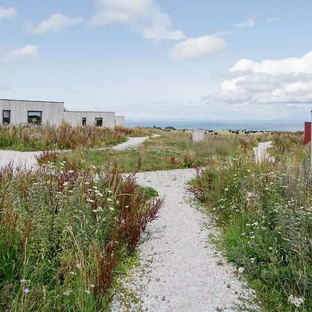 Rustic Cabins, Sea Views From Rewilded Farm With Highland Cows セント・アンドルーズ エクステリア 写真