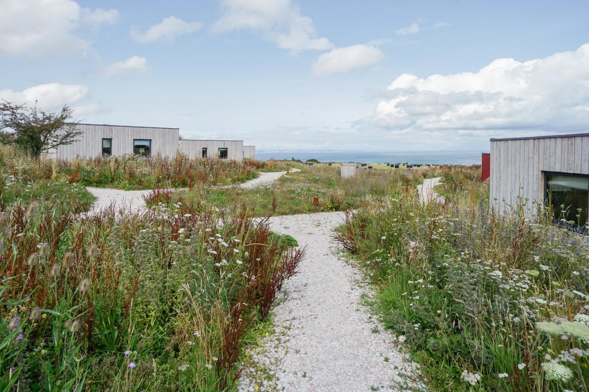 Rustic Cabins, Sea Views From Rewilded Farm With Highland Cows セント・アンドルーズ エクステリア 写真